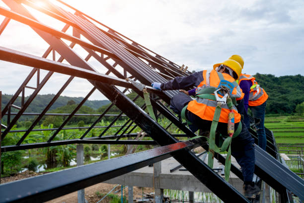 Best Roof Gutter Cleaning  in Mount Pleasant, TX