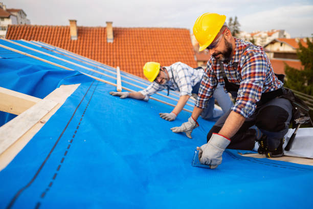 Quick and Trustworthy Emergency Roof Repair Services in Mount Pleasant, TX
